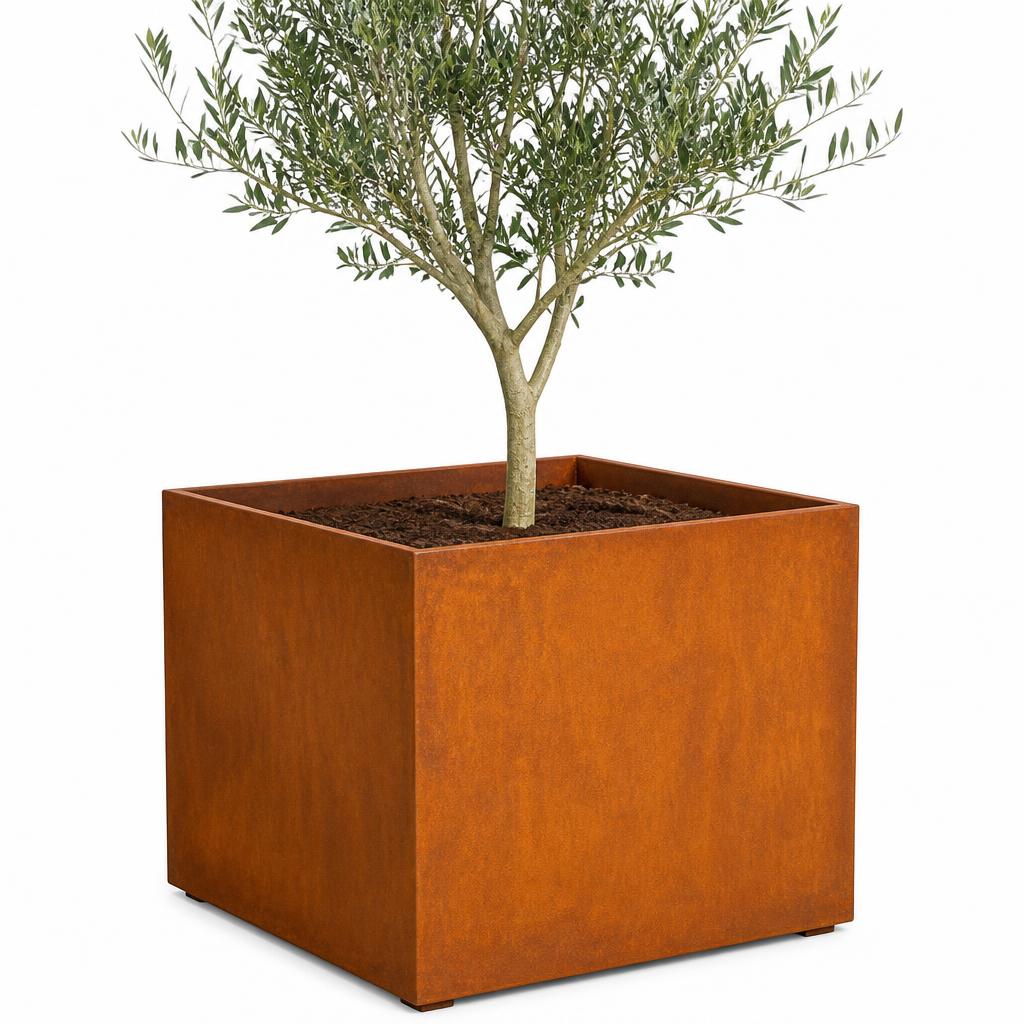 Corten Arbres 120×120×80
